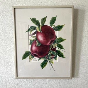 Gerahmte Kunst Apfel 10 x 8 signiert Yasuko nummeriert 198/1900 Galerie Wand rot grün - Bild 1 von 7