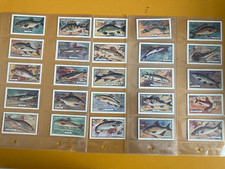 cigarette cards fish Phillips 1924 full set