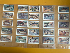 cigarette cards fish Phillips 1924 full set