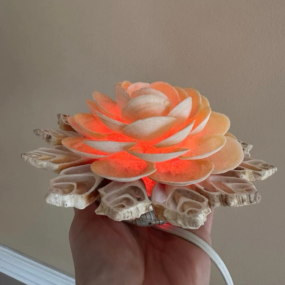 Vintage Natural Seashell flower Lamp Night Light Shell 6.5” retro nautical Mcm  - Image 1 of 4