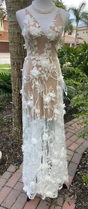 Dress The Population Sidney Dress Floral Appliqué Sheer Lace Nude/White SZ S NWT - Picture 1 of 19