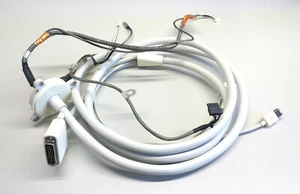 Apple - Cinema Display 30" Cavo - Afbeelding 1 van 2