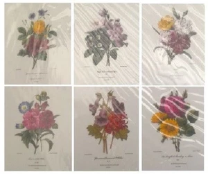SET of (6) Floral Art Prints FRAME READY Redoute Bouquets 11x14 NEW Flower Print - Picture 1 of 9