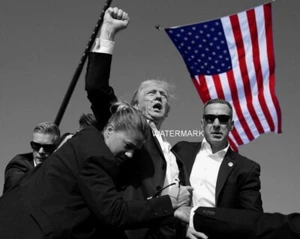 Donald Trump Assassination Attempt American Flag 8 x 10 Photo Picture bw2 - Picture 1 of 1