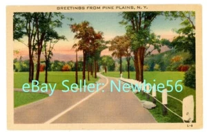 Postal de lino Condado de Dutchess de Pine Plains NY - SALUDOS DESDE EL PUEBLO - - Imagen 1 de 2