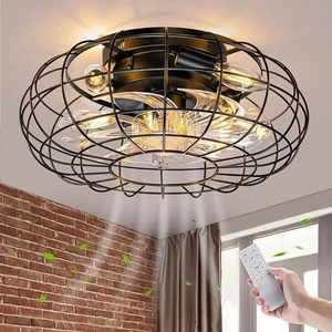 Ceiling Fan with Lights, 16 Inch Caged Ceiling Fan Lights Remote Control 6 Speed - Picture 1 of 6