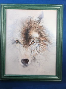 Red Wolf White Light Print Kathryn Weisberg Glass & Green Framed 8 1/2 X 11 - Picture 1 of 3