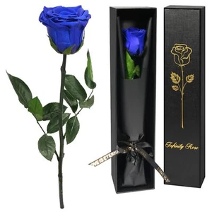 Preserved Flowers Rose Gifts for Women Mothers Day Rose Flowers Gifts for Mom... - Picture 1 of 8