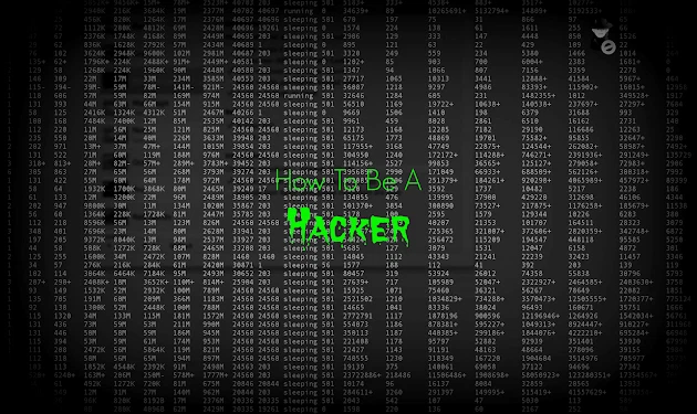 LEARN TO HACK ALL TOOLS YOU NEED FOR YOUR PC - 2500+ TOOLS HACK ANY PC BRUTE !*! - Image 1 of 4