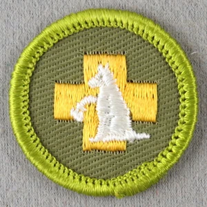 ERSTE HILFE FÜR TIERE 1961-1968 Typ F Rollrand Khaki Twill Verdienstabzeichen - Bild 1 von 1