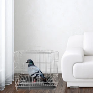 Pigeon Cage Pigeons Breeding Cage Pigeon Cage Stainless Steel Cage Bird Paired - Picture 1 of 12