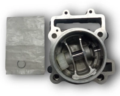 Kit de cilindros AfterMarket pistón conjunto completo apto para KTM Duke 390 (2013-22) Foto 1 de 4