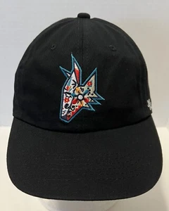 Arizona Coyotes NWOT Hat OSFA Black Bling Head Logo Dignity Health Promo SGA NHL - Picture 1 of 8