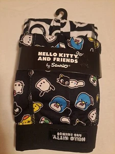 Hello Kitty & Friends 2-Pack Men’s Boxer Briefs Size Large - Picture 1 of 4