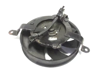 02 03 HONDA CBR 954 954RR CBR954RR OEM radiador motor refrigeración ventilador y cuchilla Foto 1 de 4