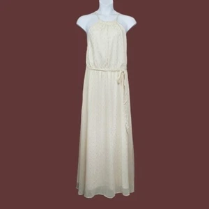 ModCloth Womens Illuminated Elegance Sleeveless Clip Dot Maxi Dress Size XL NWT - Picture 1 of 8