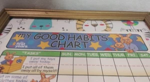 Toddler Chore Training Chart The First Years My Good Habits Chart Framed 14.5" - Picture 1 of 9