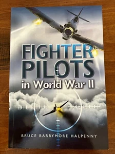 Fighter Pilots in World War II: True Stories of Frontline Air Combat - Picture 1 of 12