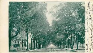 1904 STREET SCENE, BLOOMINGTON, ILLINOIS, VINTAGE POSTCARD (SV 586) - Picture 1 of 2