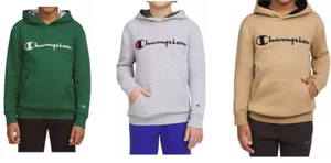 Champion Boys Logo Fleece Hoodie - Picture 1 of 16