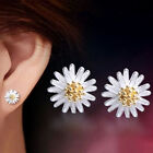 Jewelry Fashion 925 Sterling Silver Chrysanthemum Daisy Shape Ear Stud Earrin KY