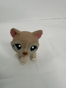 Authentic Littlest Pet Shop C-031 Tan Husky Dog LPS Hasbro Genuine Toy - Picture 1 of 6