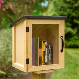 Caja de libros de biblioteca exterior Ilyapa - Kit de intercambio de literatura gratuito para exterior -... - Imagen 1 de 8