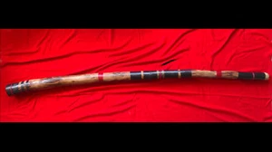 Didgeridoo artigianale in legno di Agave tonalità (Sol) G - Foto 1 di 5