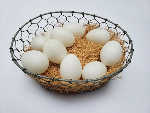 Metal Chicken Wire Egg Basket Oval Hollow White Eggs Straw Crate Decor Farmhouse Cover