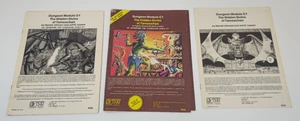 1980 AD&D DUNGEON MODULE C1, THE HIDDEN SHRINE OF TAMOACHAN TSR 9032 - Picture 1 of 15