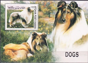 W AFGHANISTAN Y1999 (08) DOGS - Picture 1 of 1