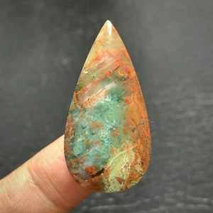 Jasperized Coral Fossil Cabochon 37x18x5.5mm High Quality 27.5 ct - Picture 1 of 6