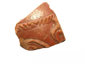Roman Samian Ware Terra sigillata Gaul pottery shard nice decoration #24 - Picture 1 of 4