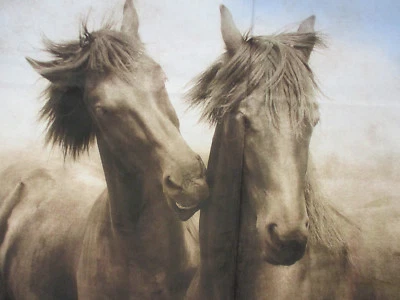 REALISTIC HORSE HORSES NAVAJO BROWN DIGITAL ART PRINTING COTTON FABRIC PANEL  - Image 1 of 4