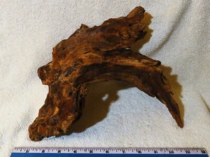 NATURAL DRIFTWOOD ARCH REPTILE TERRARIUM TAXIDERMY CRAFTS DISPLAY - Picture 1 of 8