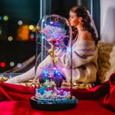 Ilumina Flor Rosa en Cúpula de Cristal con Luces LED RGB Regalo para Cumpleaños Boda Foto 1 de 4