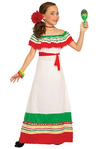 Brand New Fiesta Dress Child Costume (Small) - Picture 1 of 1