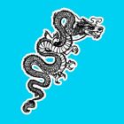 Pro Custom 'The Dragon' Guitar Decal Sticker Fits All Guitars 3 Colour Options