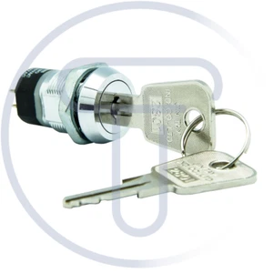 Interruttore a chiave bipolare a 2 posizioni, foro di montaggio Ø19mm, 250V 2A - - Imagen 1 de 2