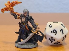Painted Reaper Warlock Iconic Fighter Mage D&D Dungeons Dragons Pathfinder Elf
