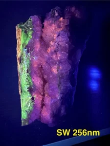 Permineralisiertes versteinertes Regenbogen versteinertes Holz Holbrook Arizona UV REAKTIV - Bild 1 von 13