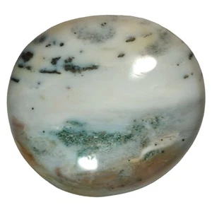 Jaspe oceánico de Madagascar 65x59 mm - 126 g espécimen de exhibición de palma grande (806) - Imagen 1 de 10
