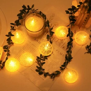 Xmas LED Fairy String Lights Party Rose Lemon Christmas Tree Outdoor Home Decor - Picture 1 of 11