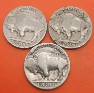 1 Cent USA Baffalo Nickel 3 Stück Münzen Coins - Bild 1 von 2