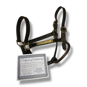 Supporto per cavalli indossato da "Mechanicville" @ Churchill Downs allenamento/uso gara! con certificato di autenticità - Foto 1 di 11