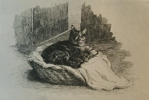 Champfleury Chats Antique Old Etching 1870 Cat Gautier Rothschild Cadart Kitten - Picture 1 of 6