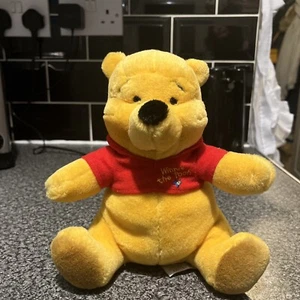 Vintage Disney Winnie The Pooh Soft Toy Rare Trudi - Picture 1 of 4