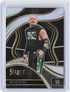 2024 Panini Select WWE Road Dogg Ringside Silver Prizm - Picture 1 of 2