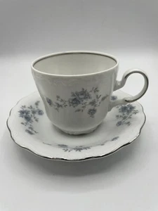 Johann Haviland Bavaria Germany Blue Garland Teetasse & Untertasse - Bild 1 von 6