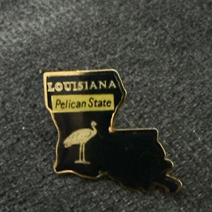vintage Louisiana Pelican State sea bird map souvenir lapel pin PRE-OWNED - Picture 1 of 3